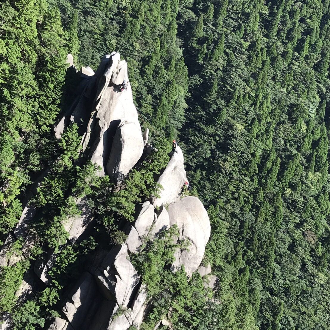 Twenty Cross【トゥエンティクロス】